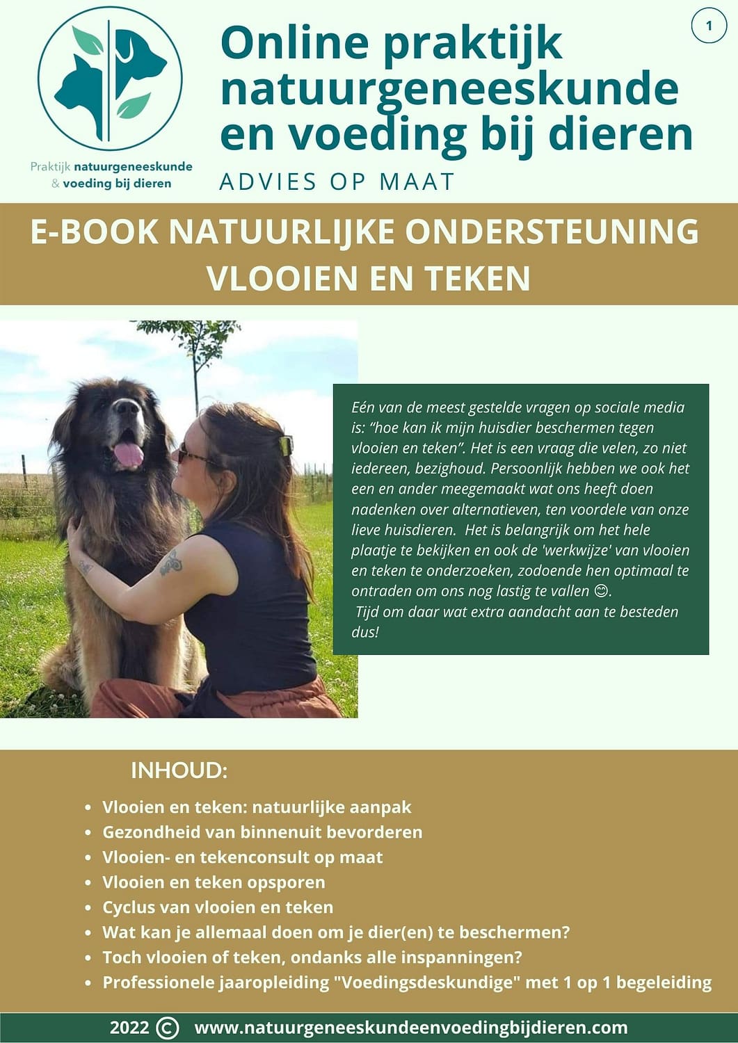 E-BOOK-VLOOIEN-EN-TEKEN