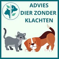 Advies dier zonder klachten