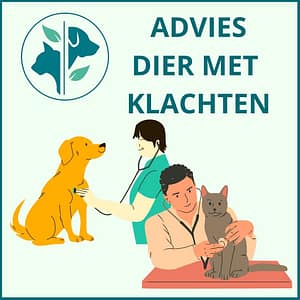 Advies dier met klachten