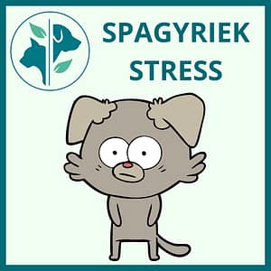 Spagyriek Stress