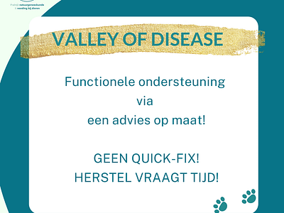 The valley of disease –  Chronische maagdarmproblemen en allergieën – deel 2