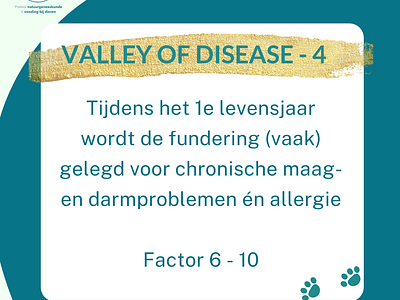The valley of disease – jaar 1 (6-10)