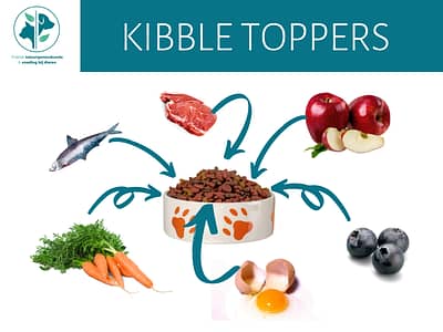 10 GEZONDE KIBBLE TOPPERS